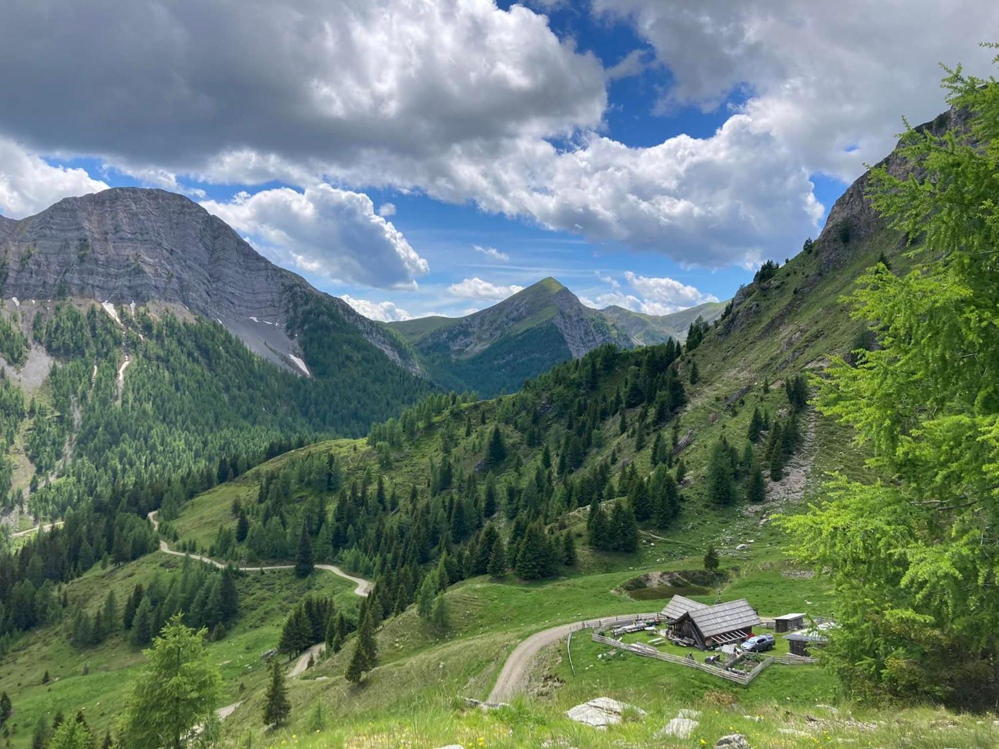 Gasthof Pension Perauer Lieserhofen Bagian luar foto
