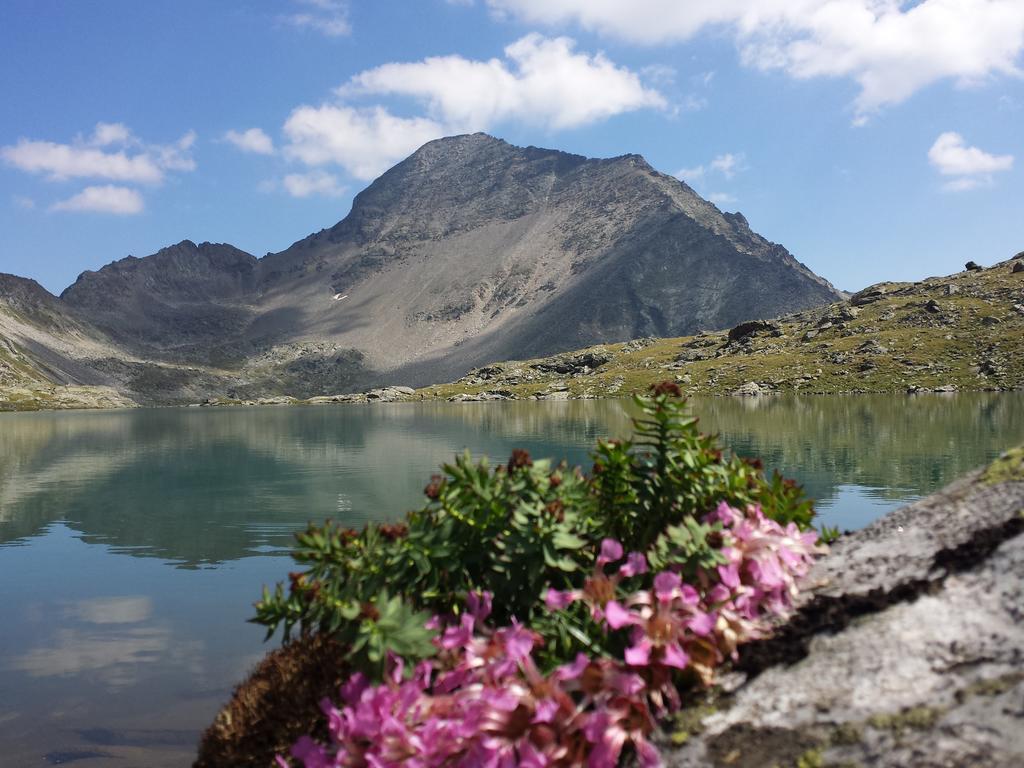 Gasthof Pension Perauer Lieserhofen Bagian luar foto